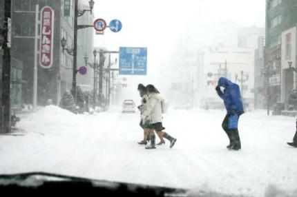 IMG_2690.JPG IMG_2690.JPG