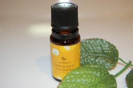 DSC_0006_2.jpg DSC_0006_2.jpg