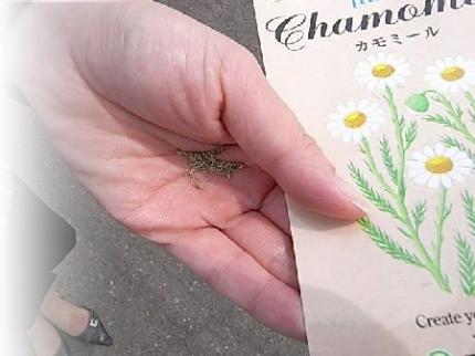 ���ӎЎ��ټ�.JPG