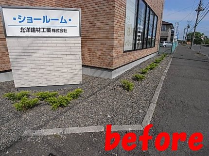 RIMG027500.jpg RIMG027500.jpg